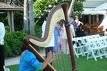 Harpist