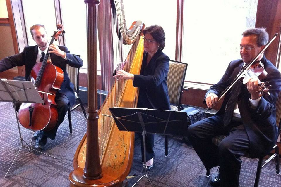 String trio