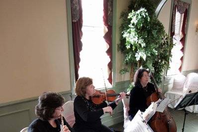 Frederick String Quartet & Trio