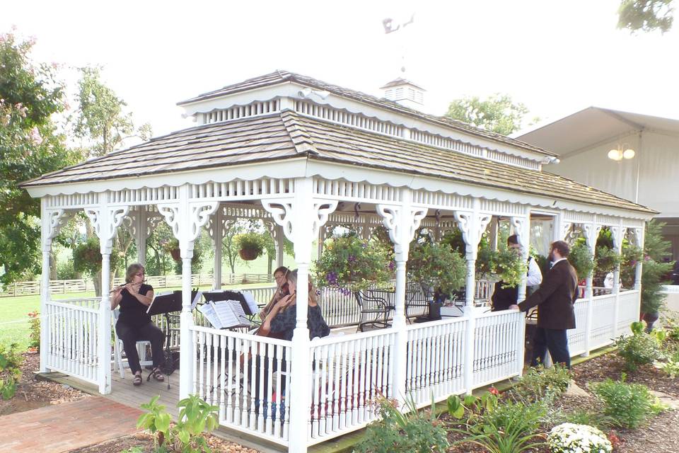 Frederick String Quartet & Trio