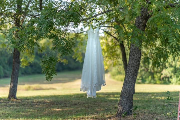 Bride's dress hanging off tree