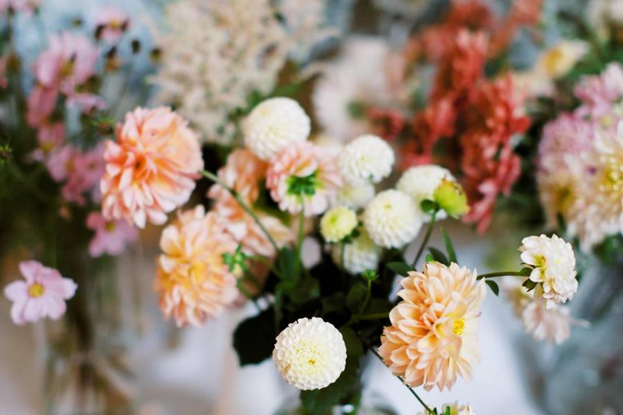 Local flower bundles