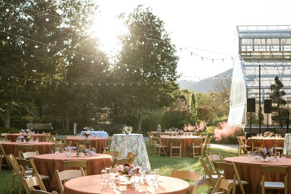 The NC Arboretum Wedding