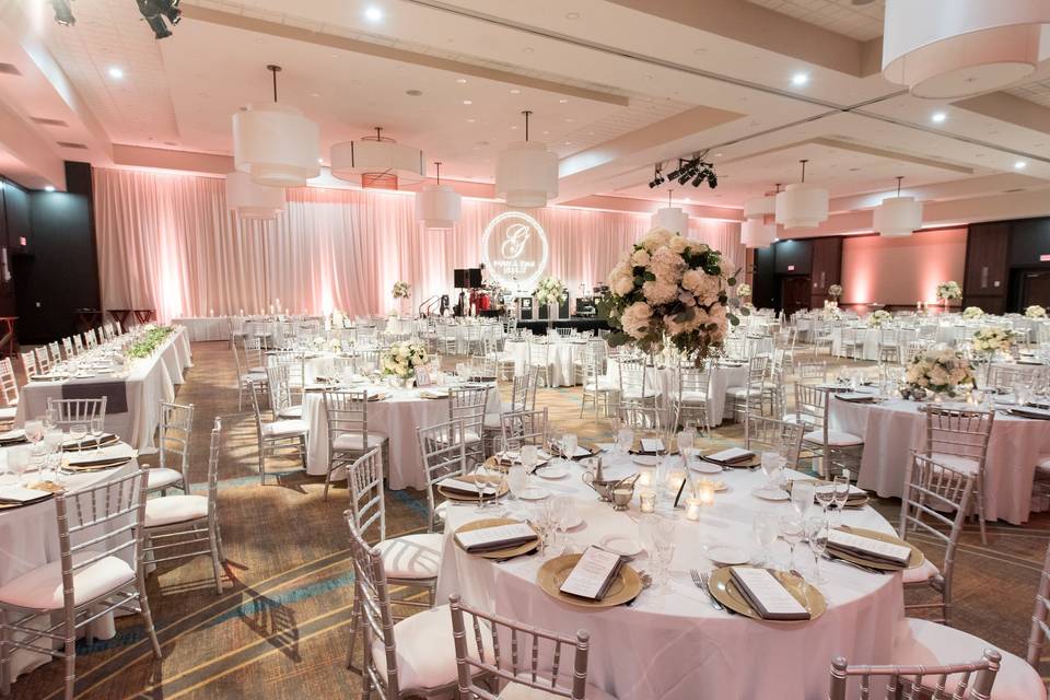 Elegant function room