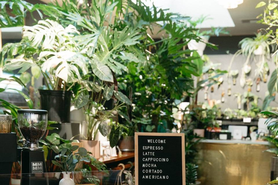 The Good Cup