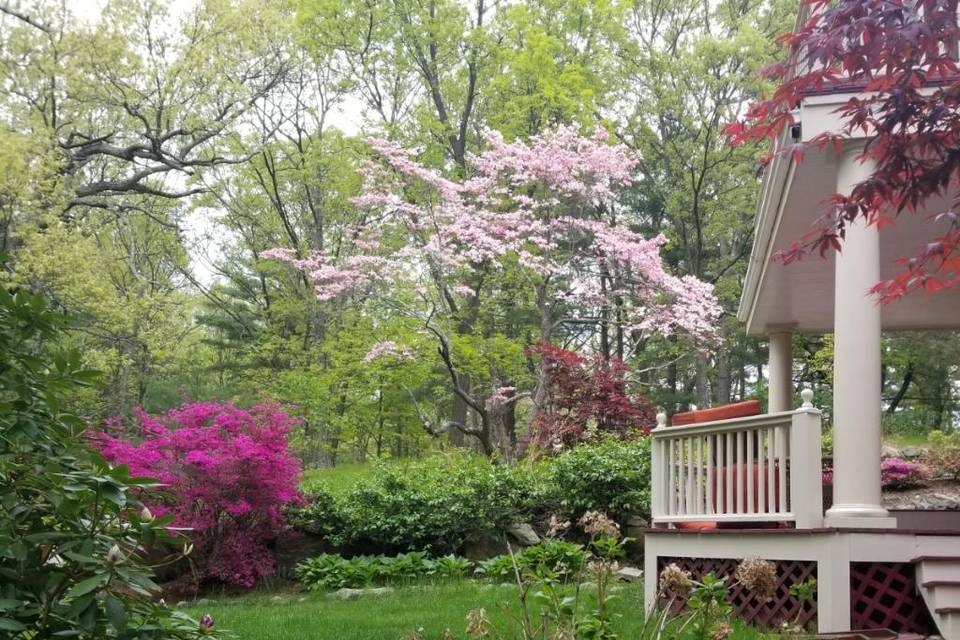 Colorful blooms!