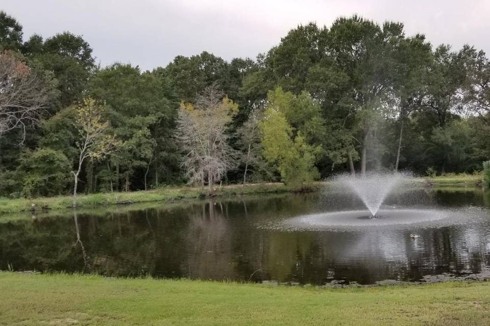 Pond and fountain
