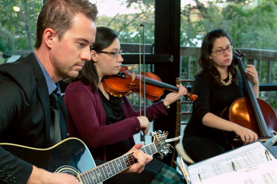 Wedding musicians