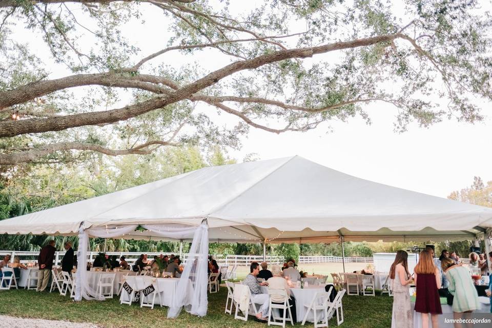 Backyard Wedding