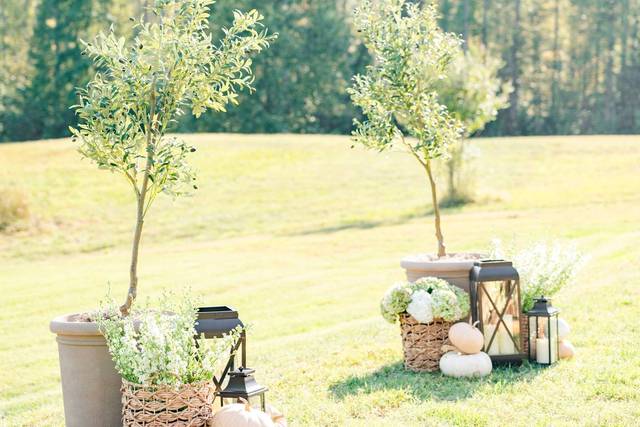 Terrace Lawn Ceremony