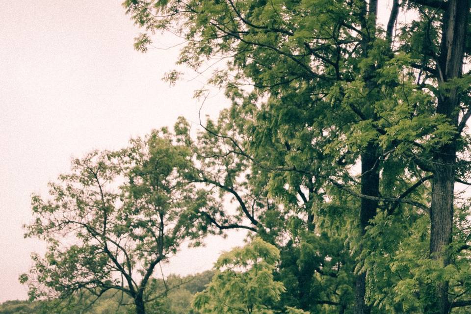 Field View - First Look
