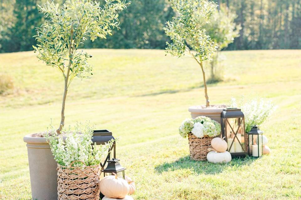 Terrace Lawn Ceremony