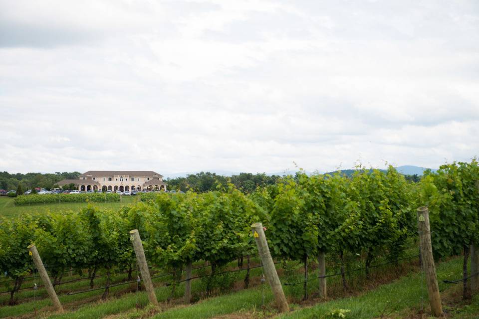 CrossKeys Vineyards