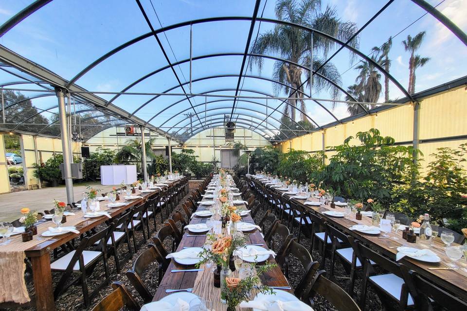 Greenhouse Wedding