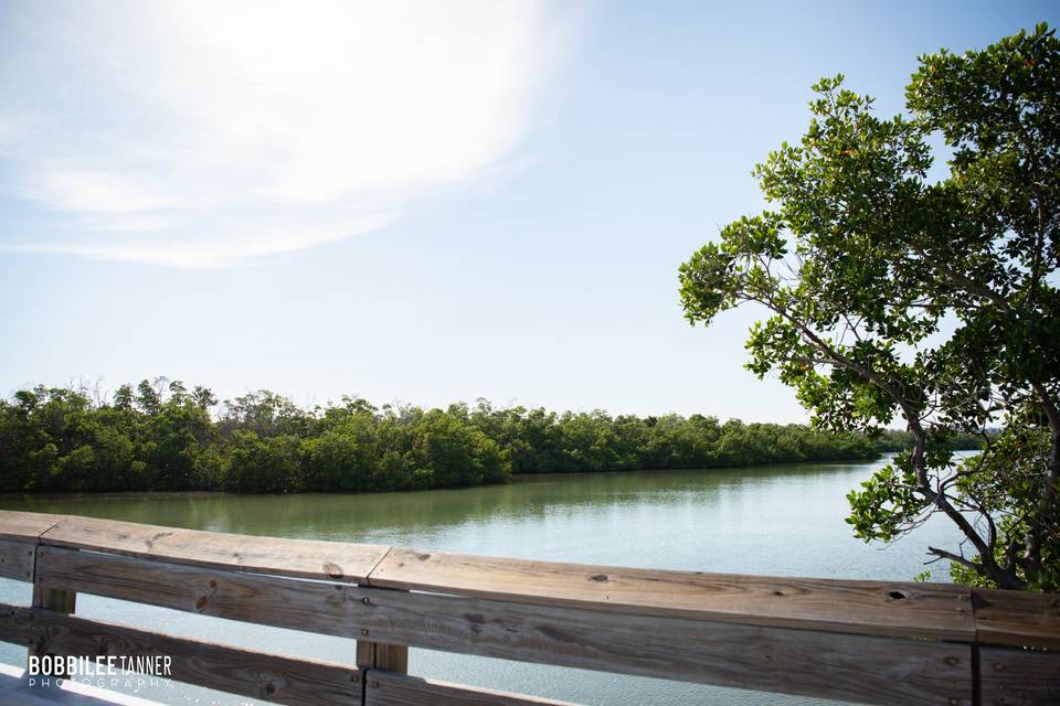 Bridge view1