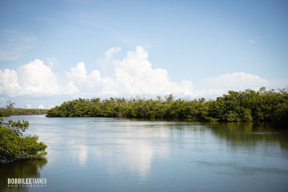 Bridge view