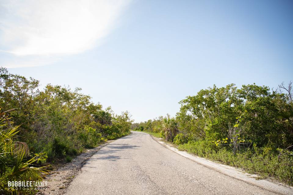 View of tram road