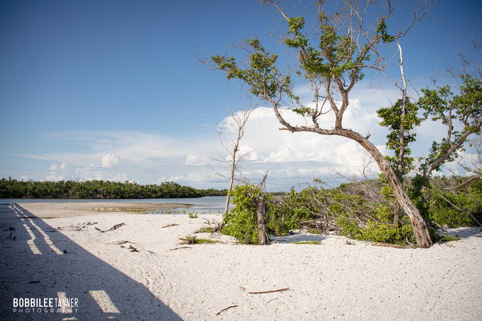 Mud flats