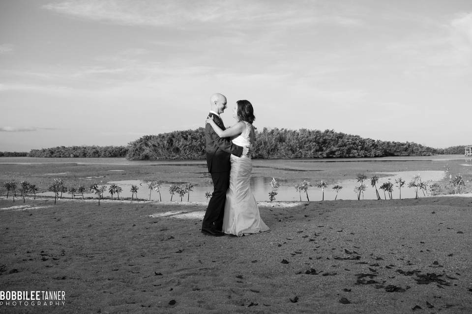 Mud flats bobbilee