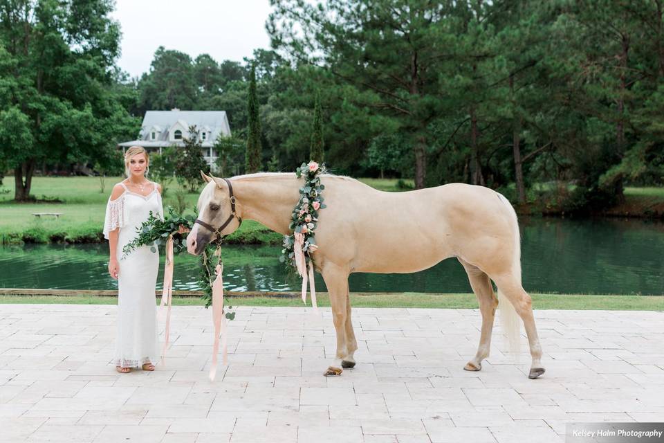The bride besides a horse