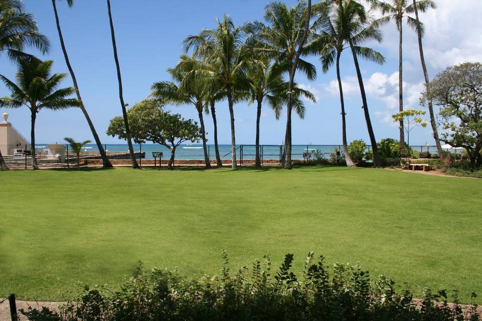 Waikiki Aquarium