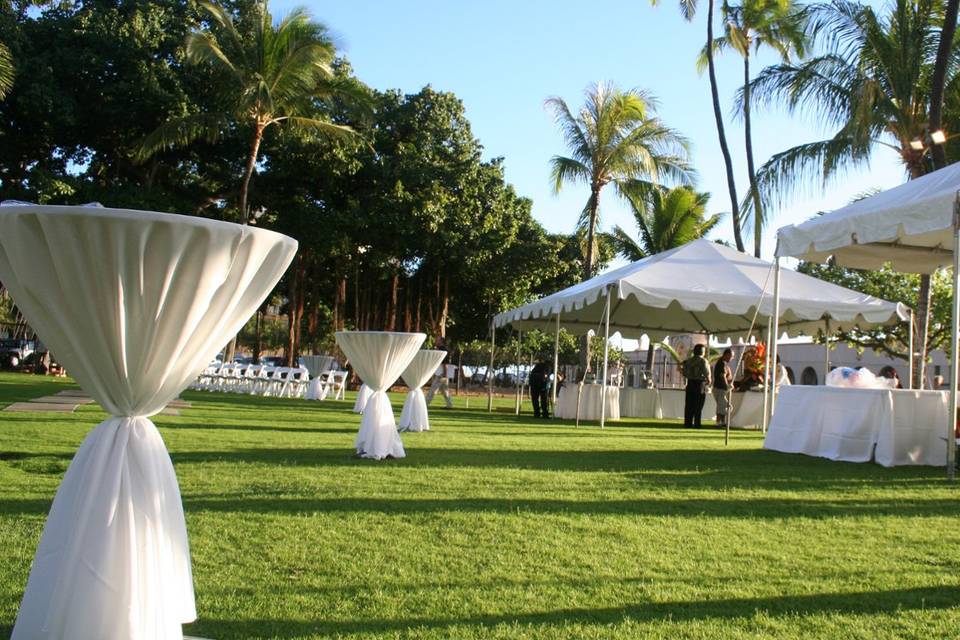 Outdoor reception