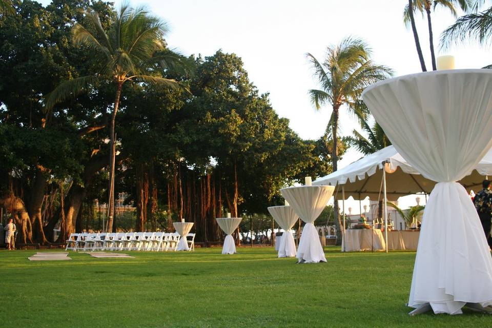 Outdoor reception