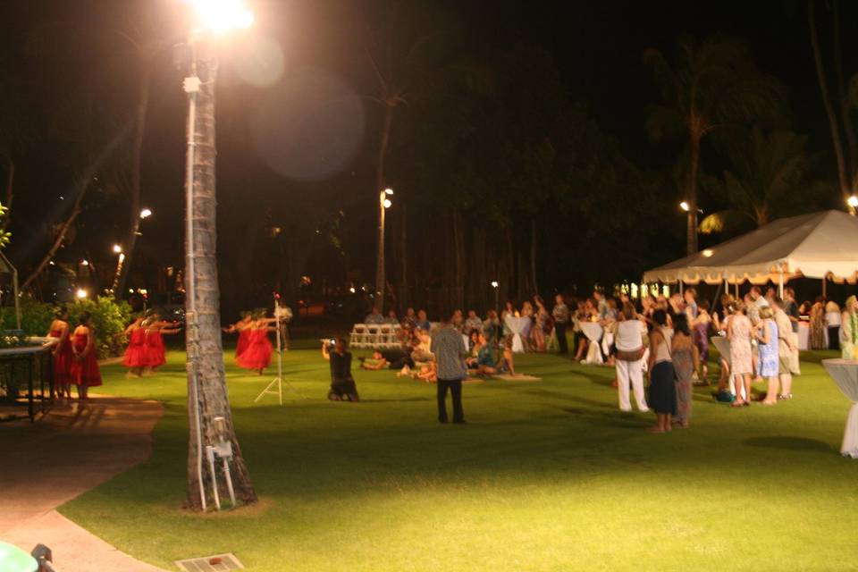 Waikiki Aquarium