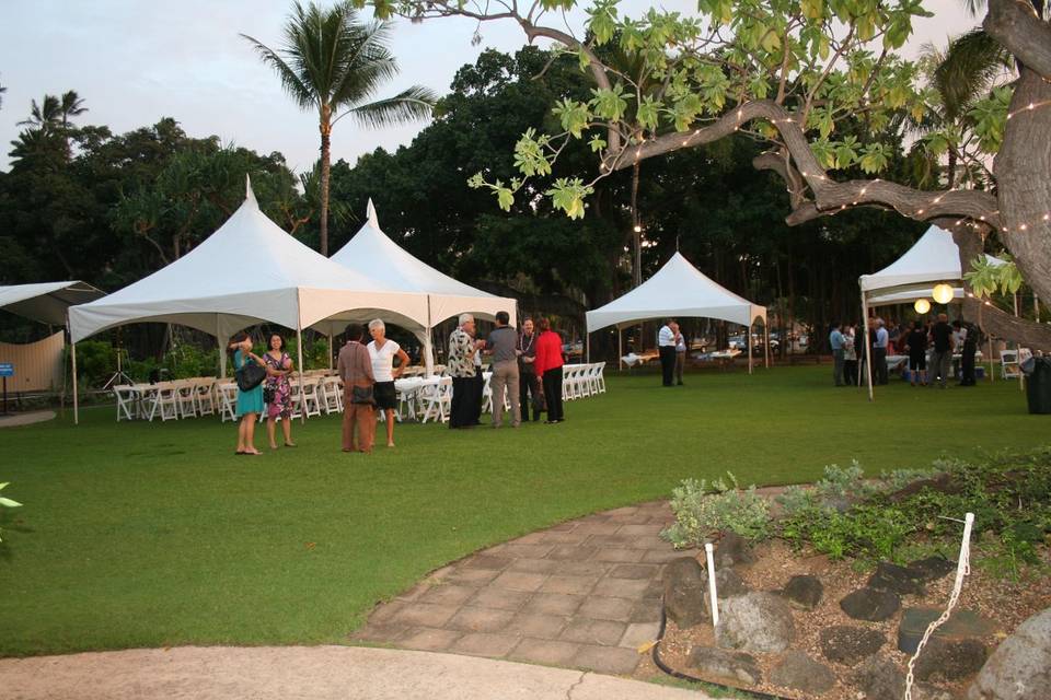 Outdoor reception