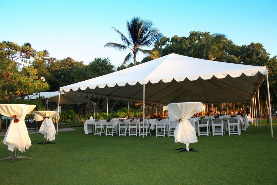 Outdoor reception