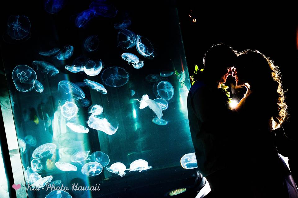 Waikiki Aquarium