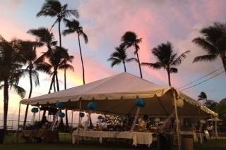 Waikiki Aquarium