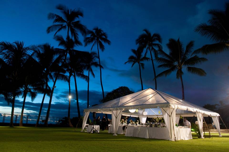 Waikiki Aquarium