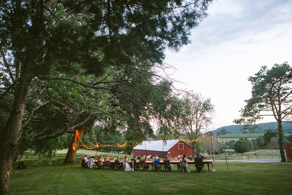 Micro Farm Wedding