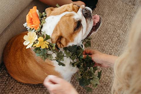 Flower Crown
