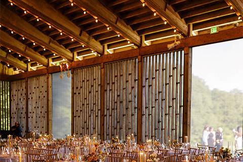 Tablescape