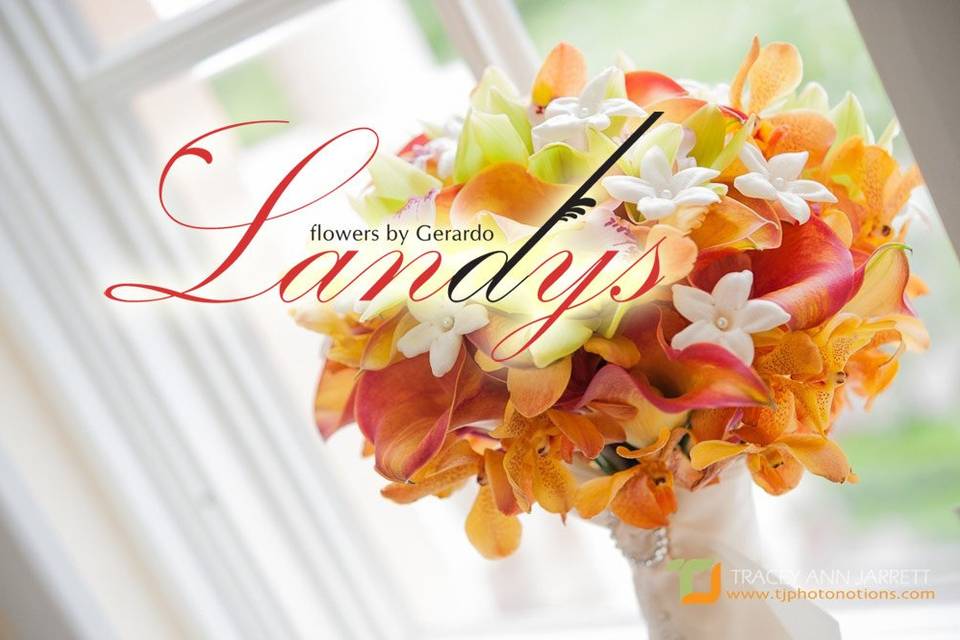 Landys Flowers by Gerardo