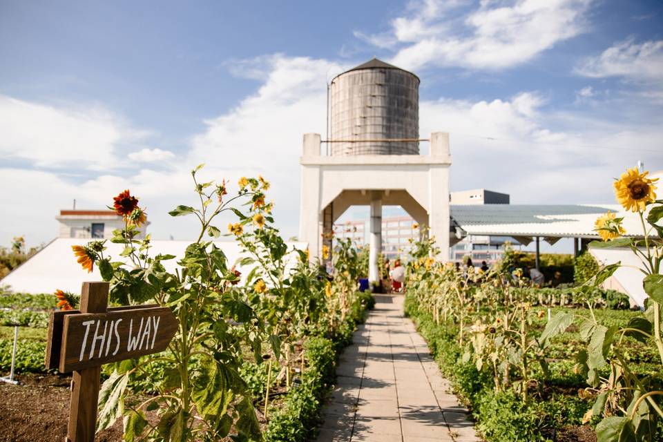 Brooklyn Grange