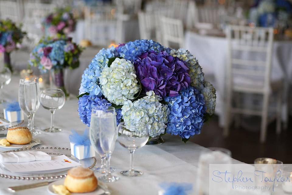 Bloomers Floral & Event Design