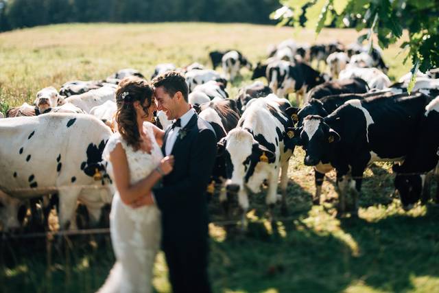 Farm wedding