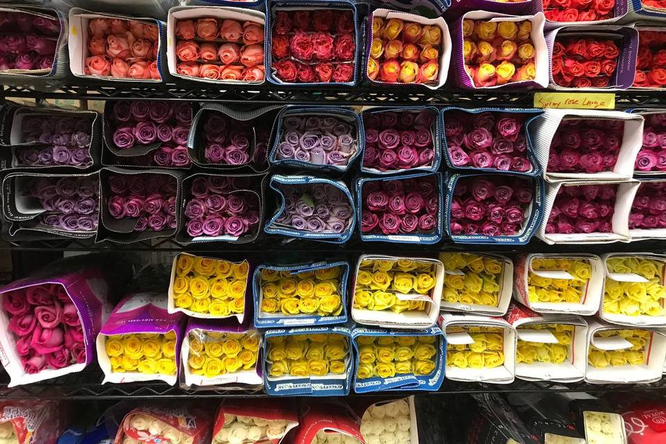 Bulk roses in cooler