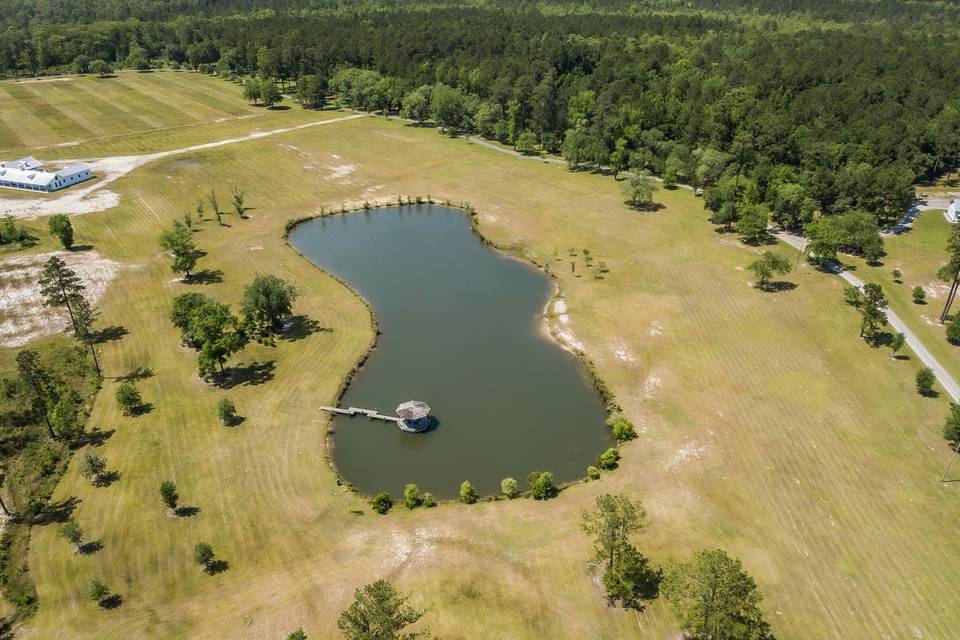 Longleaf Pond