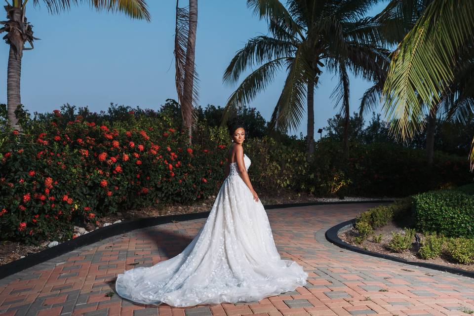 The Beautiful Bride!