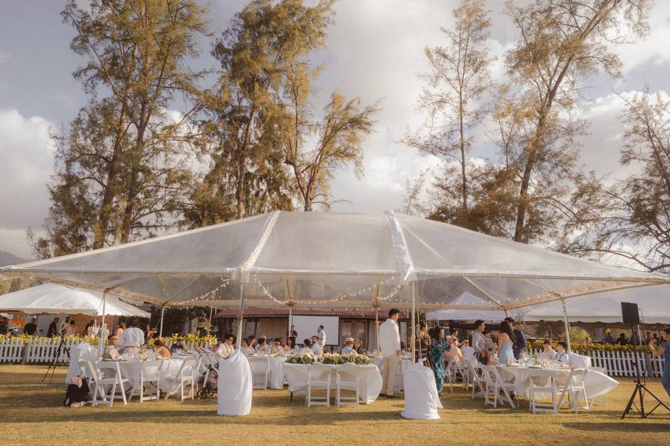 Tent on Lawn