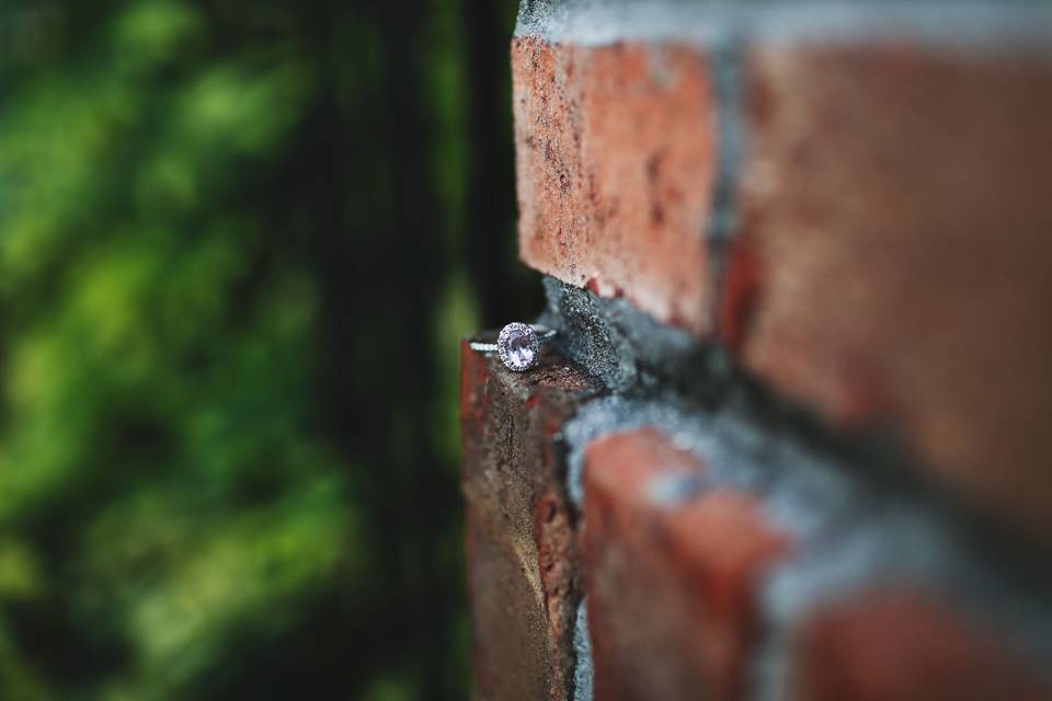 Alisha B. Simpson Photography