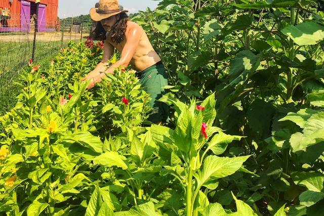 Picking flowers