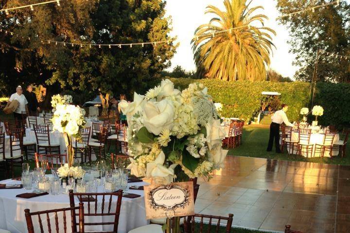 Table setup with centerpiece