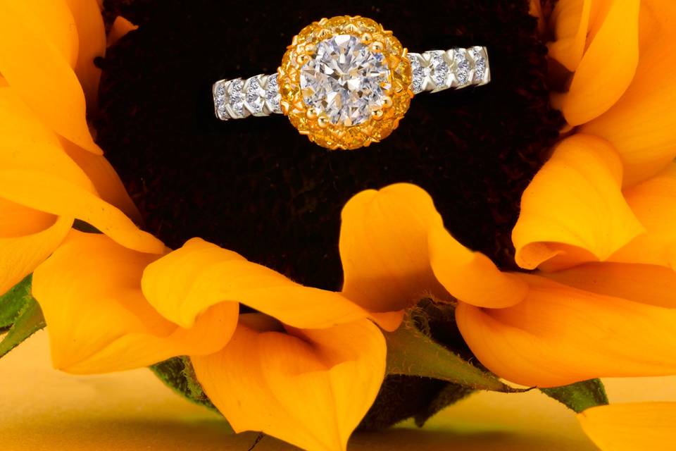 Yellow Diamond Halo