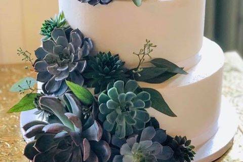 Succulents