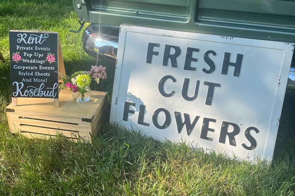Fresh cut flowers